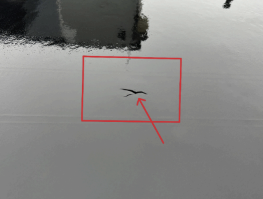 TMS puncture hole in roof