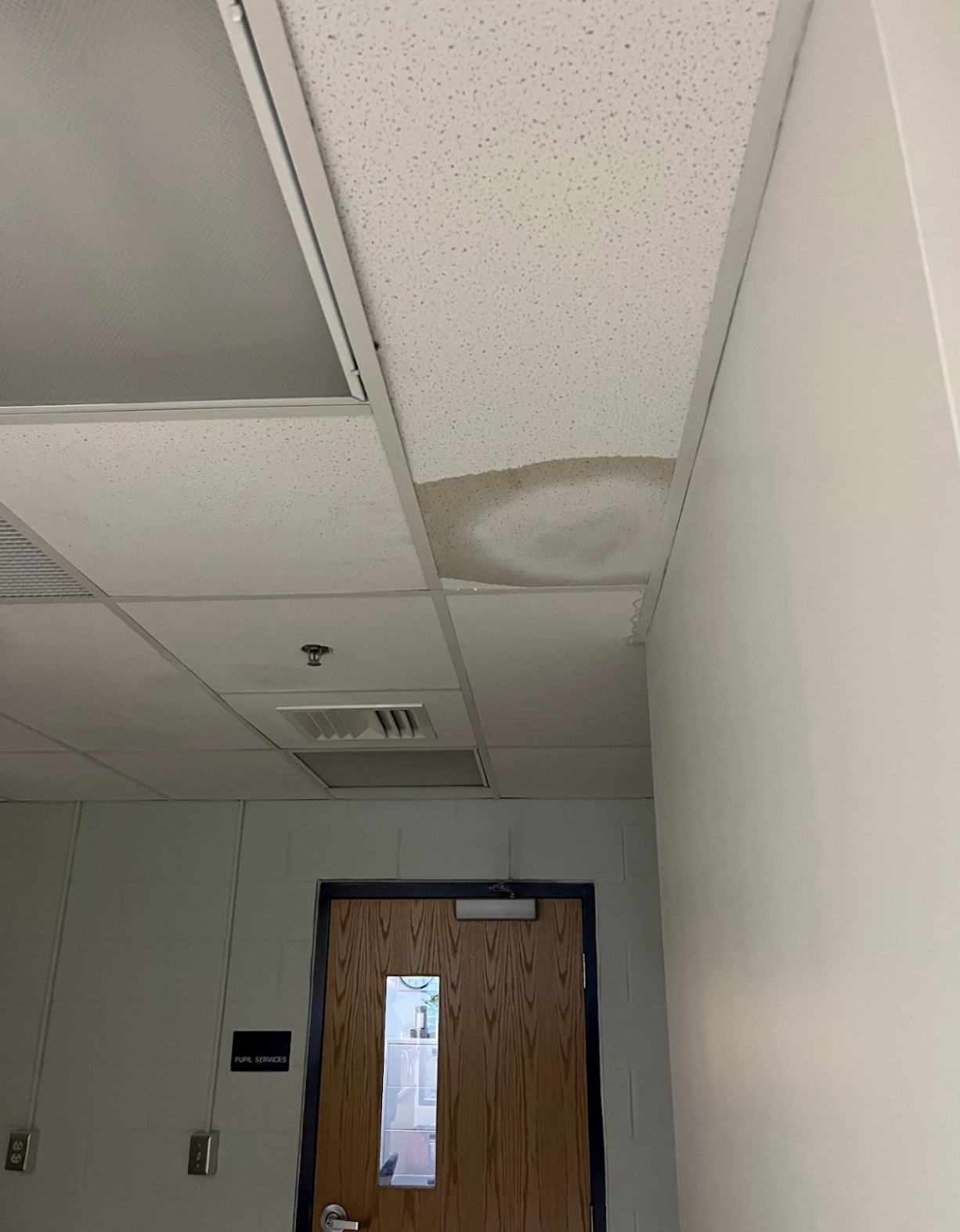 Water infiltration TMS Main Office